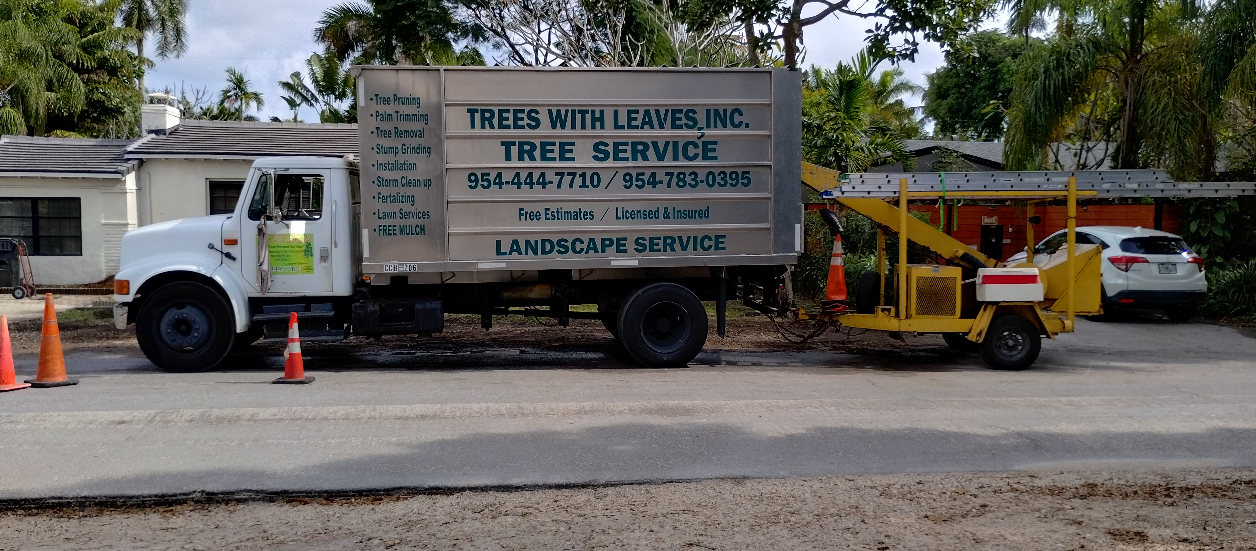 Trees With Leaves Gallery Image